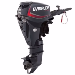 Evinrude E-TEC 25 HP E25DGTL 2018 Outboard Motor
