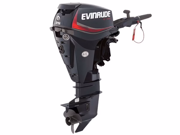 Evinrude E-TEC 25 HP E25DGTL 2018 Outboard Motor