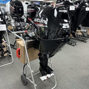 Mercury 25MH 4-Stroke Tiller Handle outboard motor