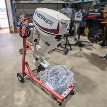 Evinrude E-TEC 60 H.O. E60HGL Outboard Motor - Image 3
