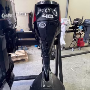 Used Evinrude 40hp Outboard Motor